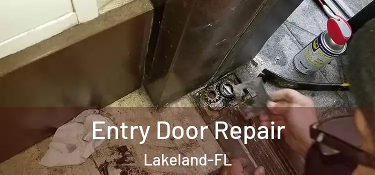  Entry Door Repair Lakeland-FL